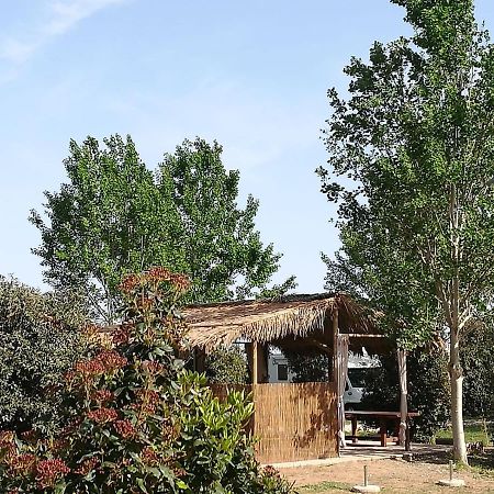 Bnatural Glamping Naturista/Nudista Baratti Exteriér fotografie