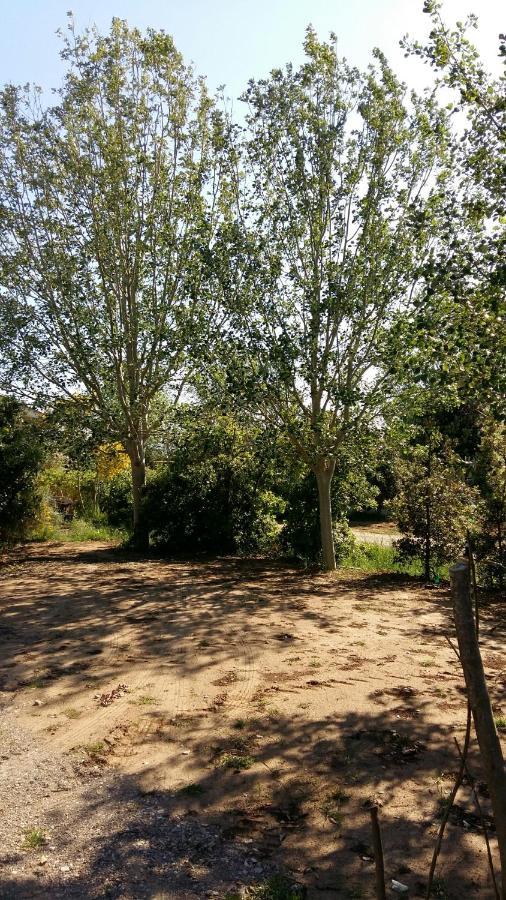 Bnatural Glamping Naturista/Nudista Baratti Exteriér fotografie