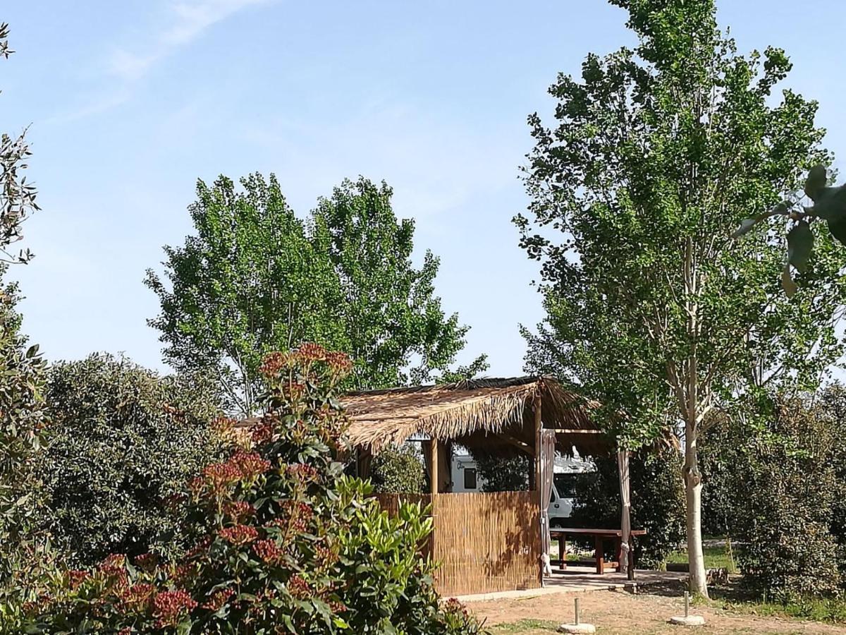 Bnatural Glamping Naturista/Nudista Baratti Exteriér fotografie