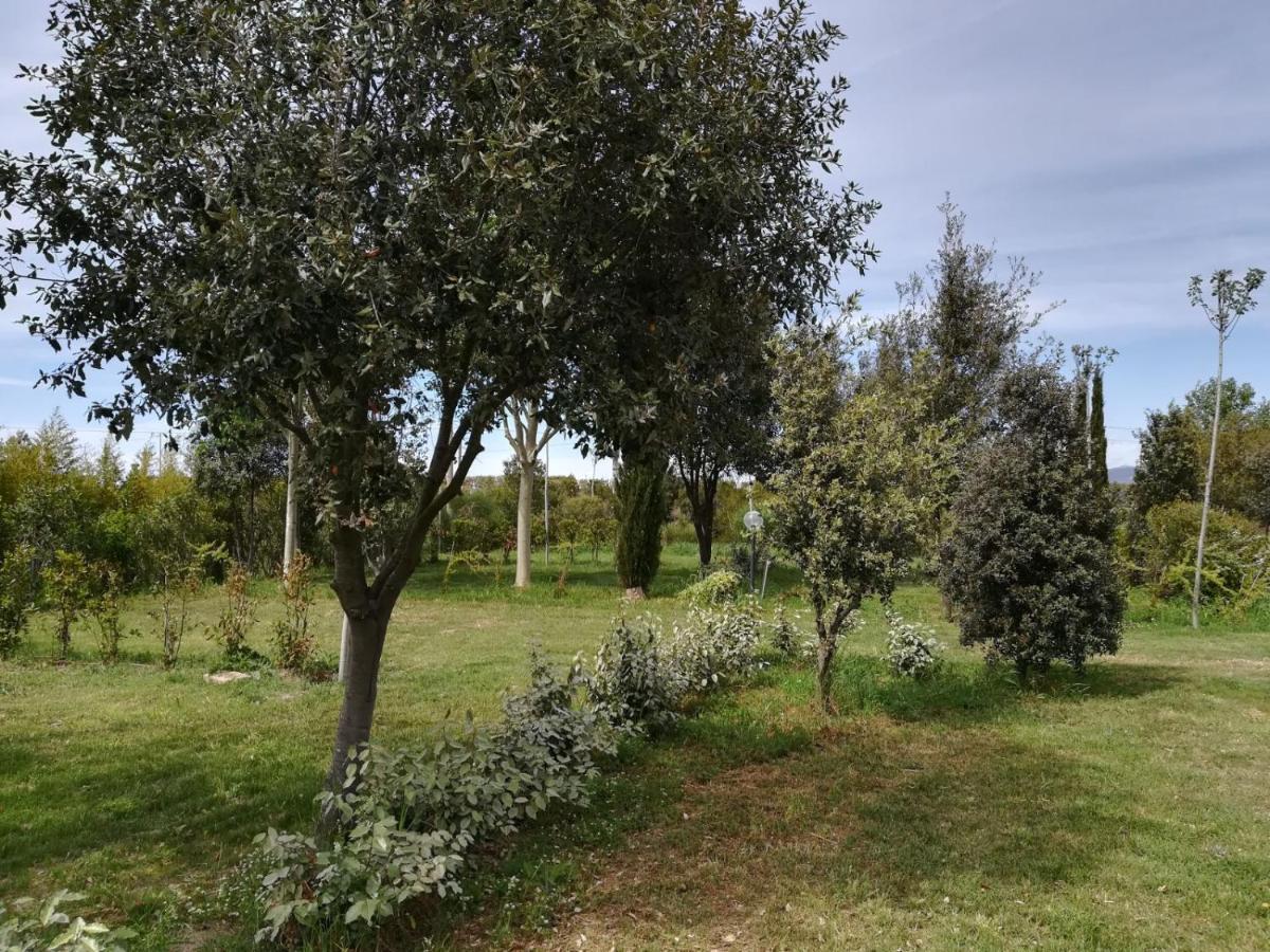 Bnatural Glamping Naturista/Nudista Baratti Exteriér fotografie