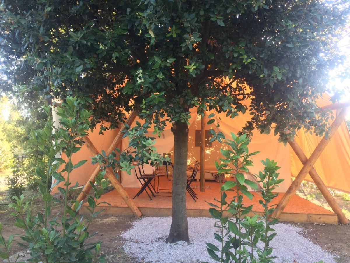 Bnatural Glamping Naturista/Nudista Baratti Exteriér fotografie