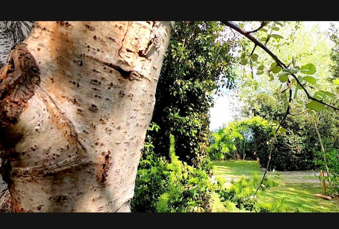 Bnatural Glamping Naturista/Nudista Baratti Exteriér fotografie