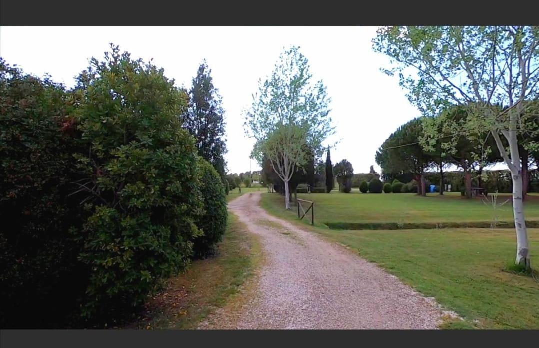 Bnatural Glamping Naturista/Nudista Baratti Exteriér fotografie