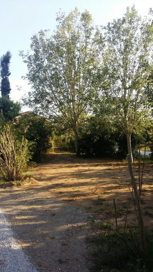 Bnatural Glamping Naturista/Nudista Baratti Exteriér fotografie