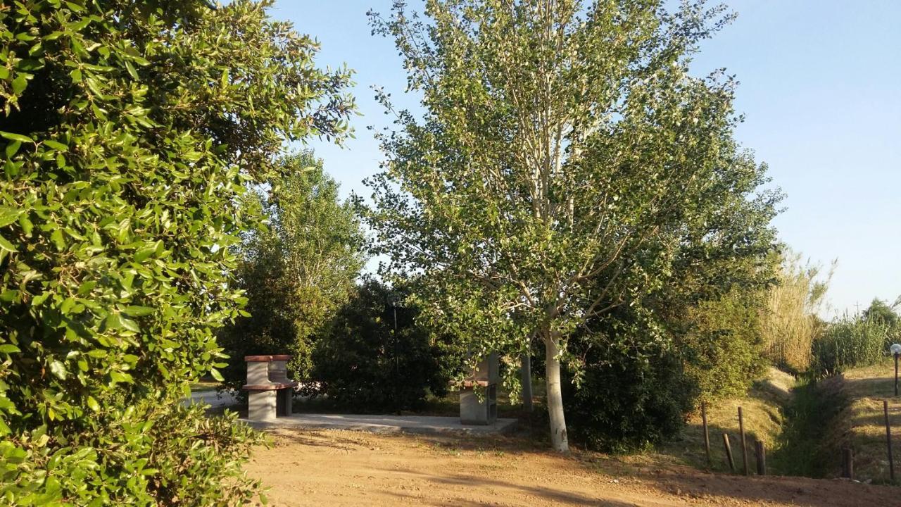 Bnatural Glamping Naturista/Nudista Baratti Exteriér fotografie