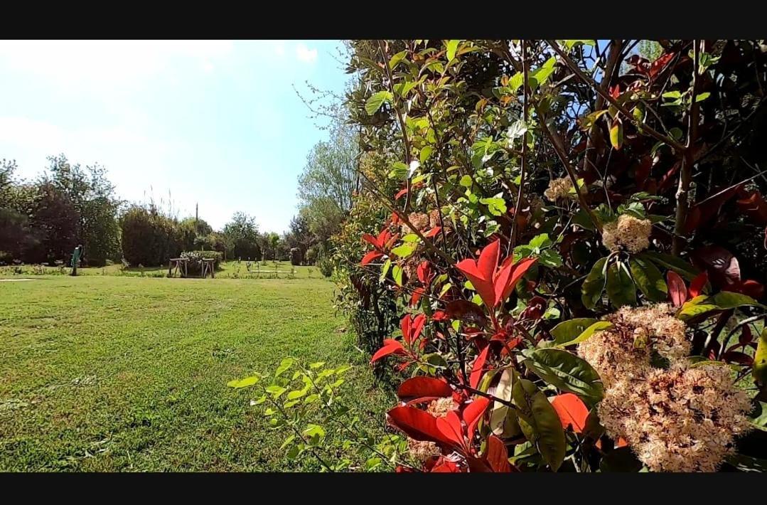 Bnatural Glamping Naturista/Nudista Baratti Exteriér fotografie